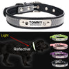 Personalized Engraved Dog Collar