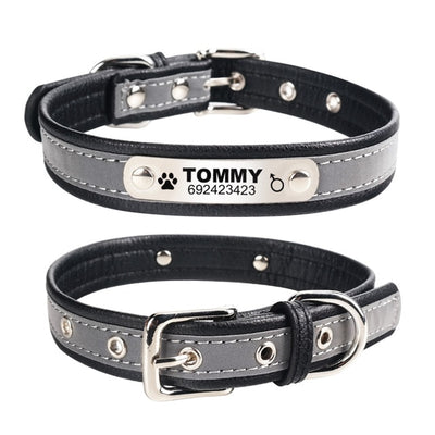 Personalized Engraved Dog Collar