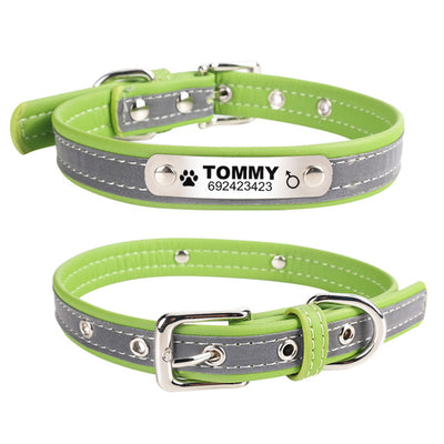 Personalized Engraved Dog Collar