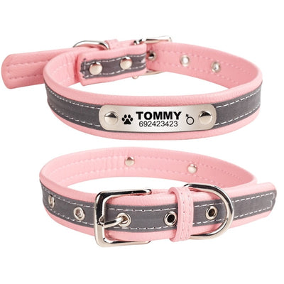 Personalized Engraved Dog Collar